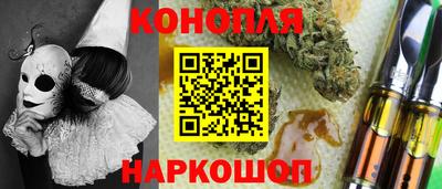 стаф Дубна