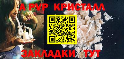 стаф Дубна