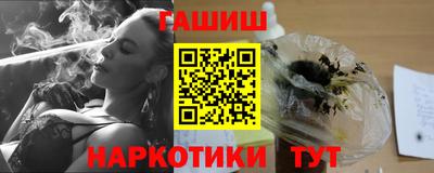 стаф Дубна