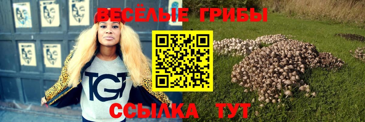 Лянтор  Псилоцибиновые грибы Psilocybine cubensis  Вход с VPN 